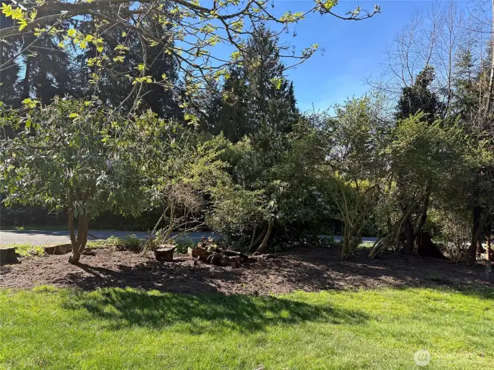 More front yard.