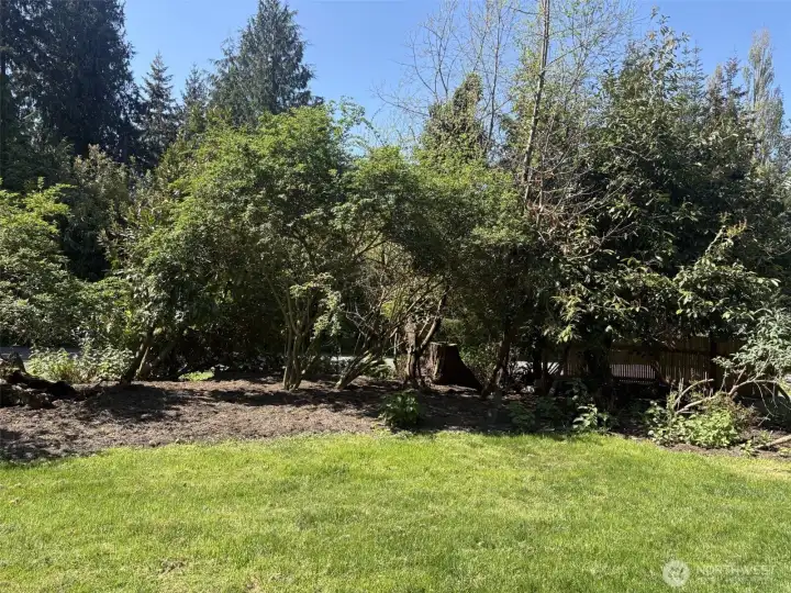 Front yard area