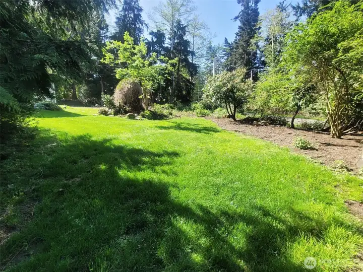 The front yard, standing by the big cedar tree looking south.