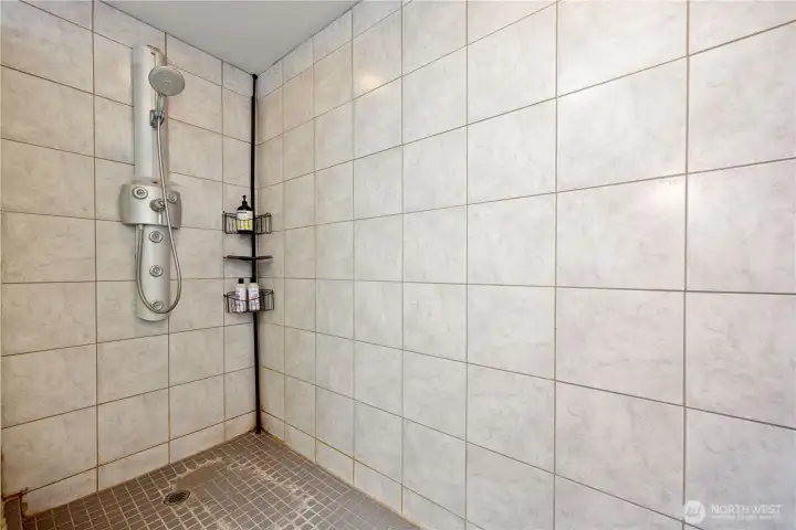 primary bathroom shower (3/4 bath)