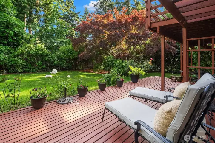 A slider opens for parties on the back deck.