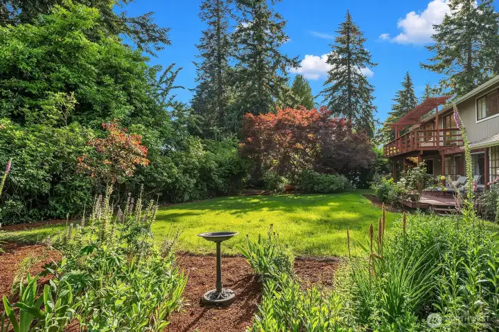 Fully-fenced backyard oasis with a backdrop of mature privacy trees.