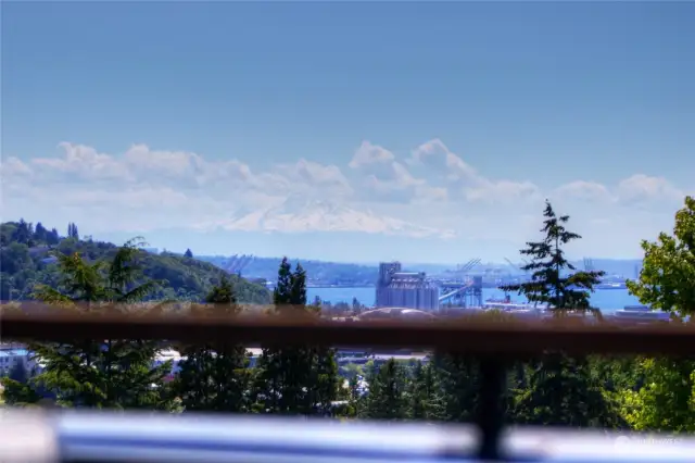 Imagine rooftop dining with views of Mt Rainier, Elliot Bay and charming Seattle communities sparkling below.