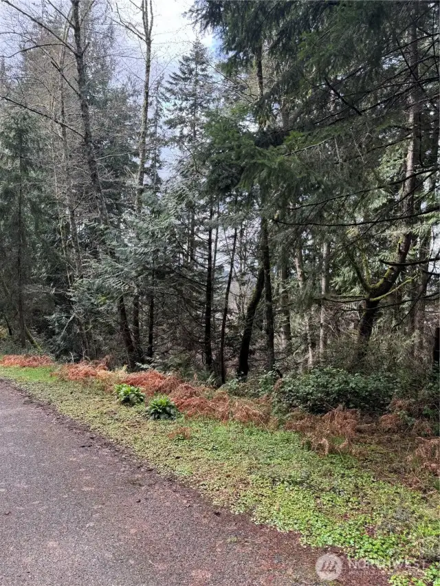Looking South at Property