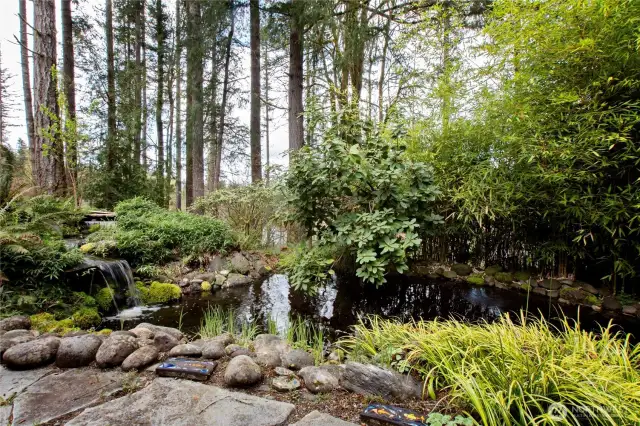 Waterfall into the Koi pond......