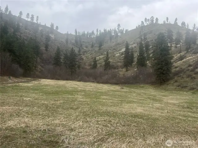 Gray rainy day earlier in spring almost in the clouds too