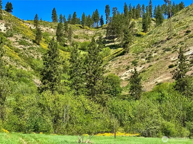 Upper part of Canyon
