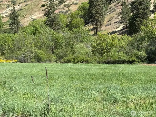 Approx middle of 14+ acre lot
