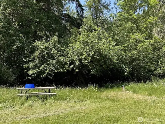 open area