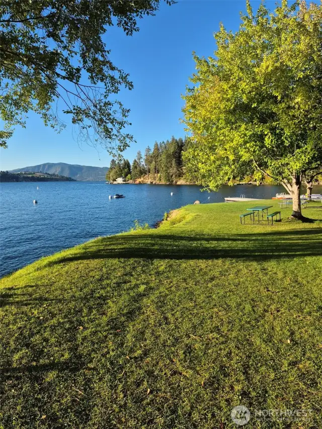 Community swim area and park
