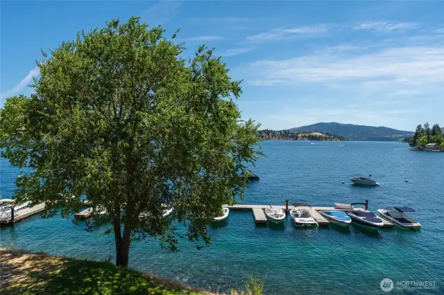 Community Marina