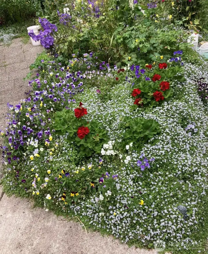Front garden blooms brightly in the Spring! Many perennials and bulbs planted will bloom throughout the spring and summer months. (photo taken in spring)