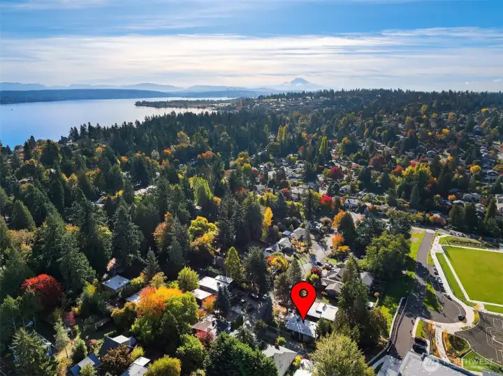 This drone shot shows the proximity to Lake Washington. Mt Rainier looms in the distance.