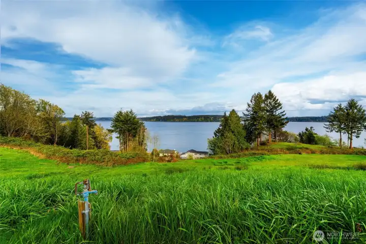 Spigot at top half of lot looking North East