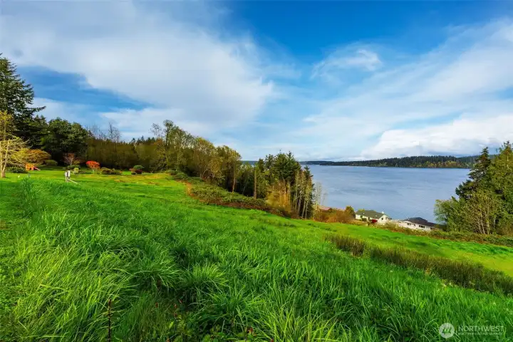 top half of lot looking North