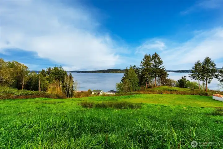 Eastern/center views from top half of lot