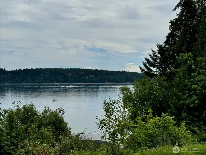 View of Mt Rainer from the street at bottom of property.