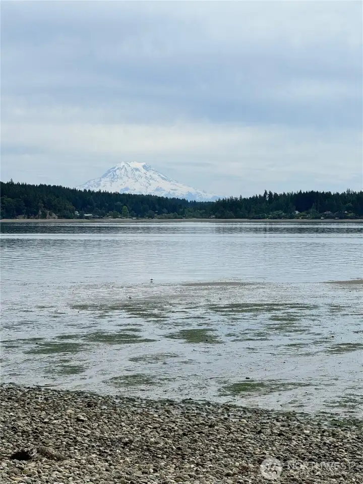 View of Mt Rainier from shore of community beach