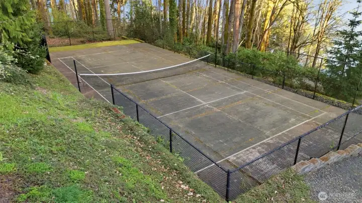 Private sports court. Private sports court.