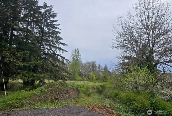 Welcome to 198 Chandler Rd!