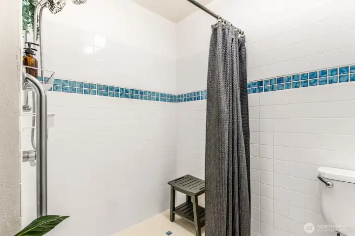 Primary walk in shower