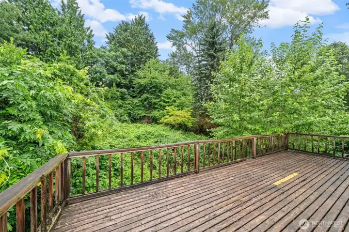 Large deck looking out to the peaceful 1/3 acre views. Large deck looking out to the peaceful 1/3 acre views.