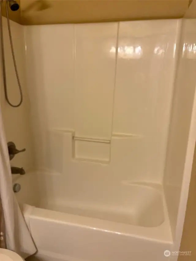 Main Bathtub