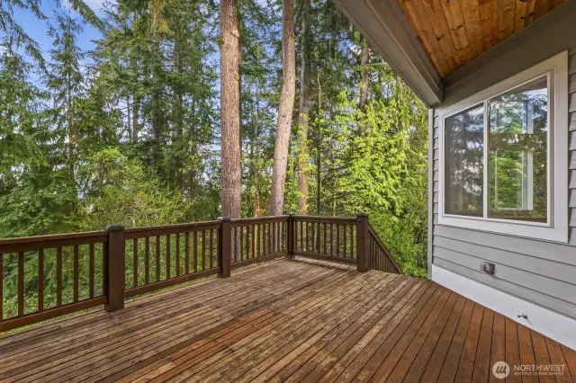 Deck space for entertaining...