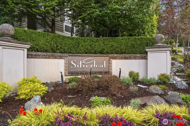 One of the best neighborhoods in Lakemont!