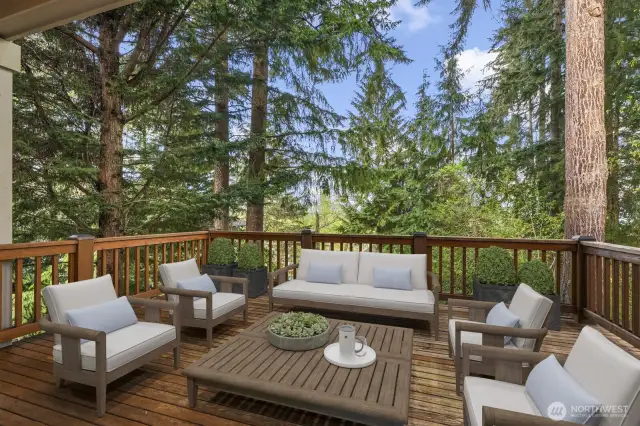 Virtually-Staged time to chill on the deck!