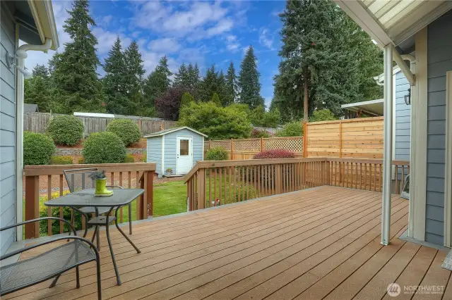 Backyard patio