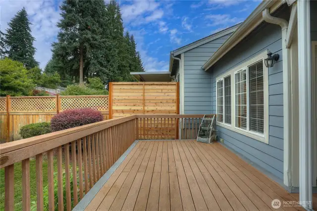 Backyard Patio