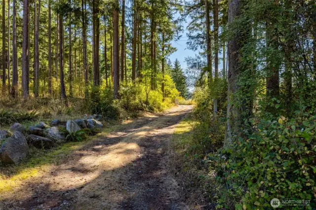 Connected driveway for two entryways