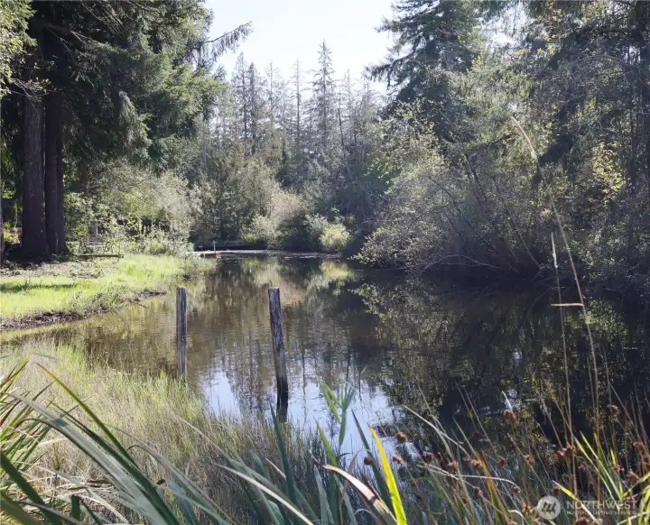 Watch the wildlife and enjoy the many species of birds.