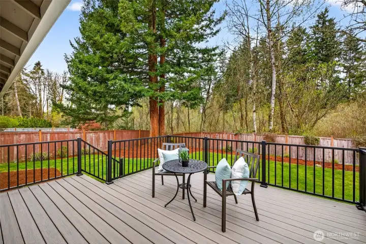 Towering evergreens frame the rear of the property, giving the deck an elevated, treehouse-like quality that feels worlds away from the bustle of the Eastside. The fully fenced yard and mature greenbelt backdrop make this one of the most compelling outdoor spaces in the Glenterra neighborhood.