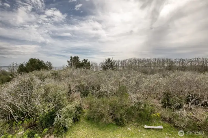 Views from third story decks.