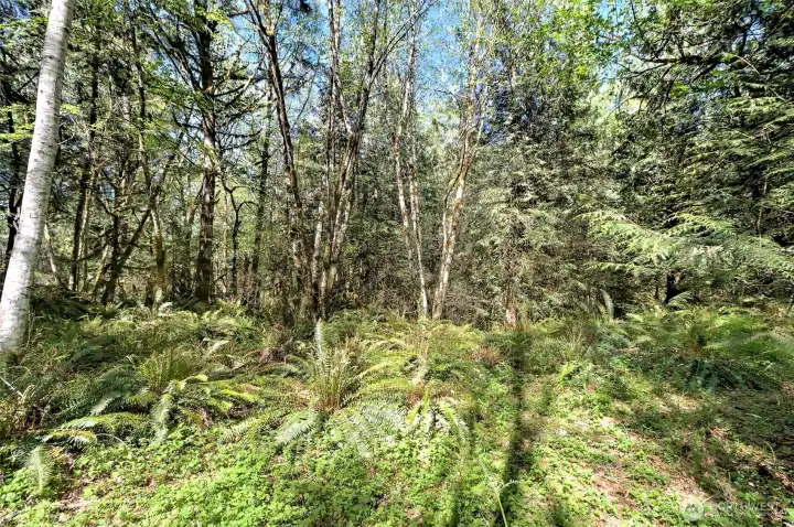 More trail walks.