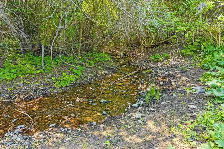 Creek meanders along the property line
