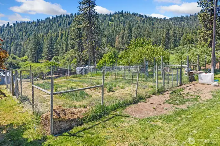 Has both a large fenced garden and a large fenced mature Orchard. Has both a large fenced garden and a large fenced mature Orchard.