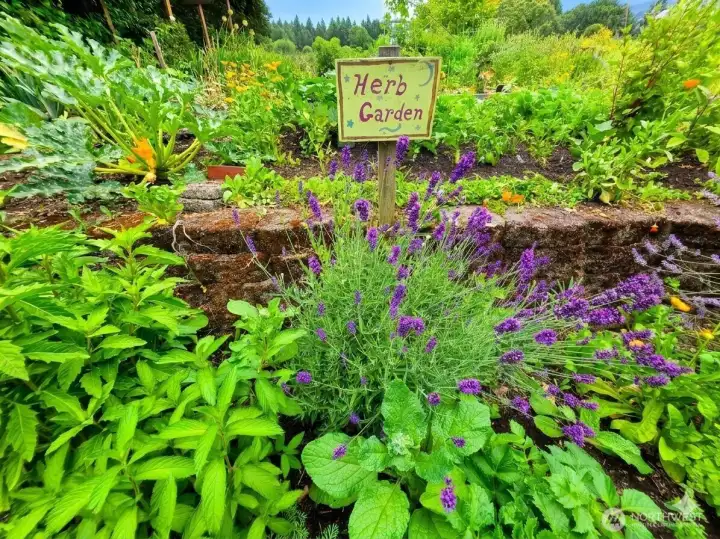 This community garden is right across the street