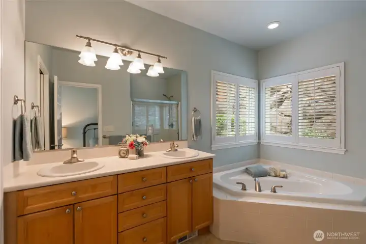 Five piece bath in the primary suite.