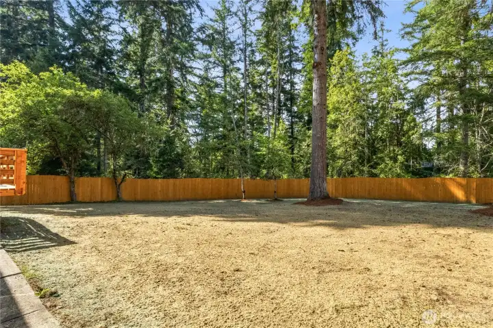 Expansive, fully fenced back yard. Recently hydroseeded