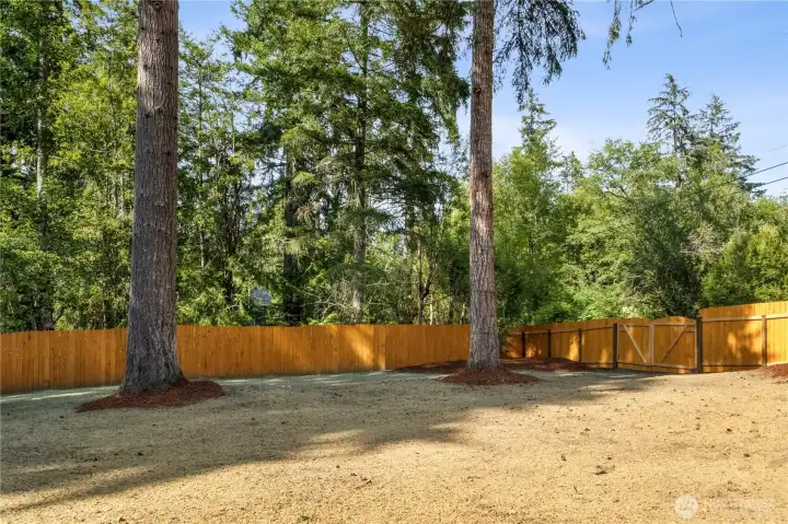 In just a few weeks, grass will begin to fill in the area.