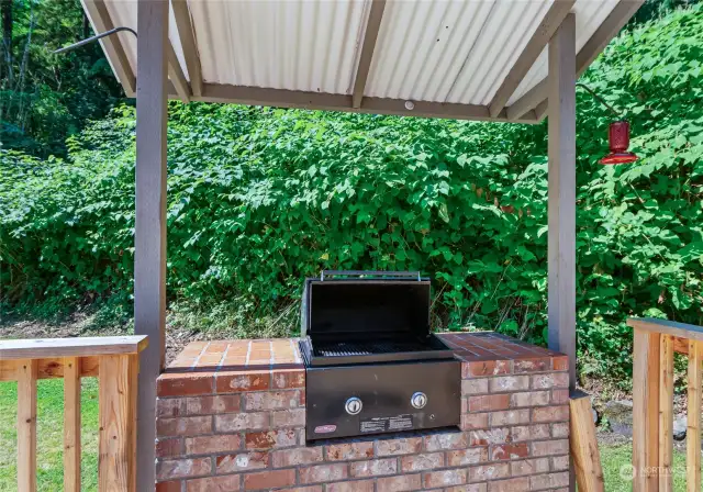 Back Deck BBQ Area