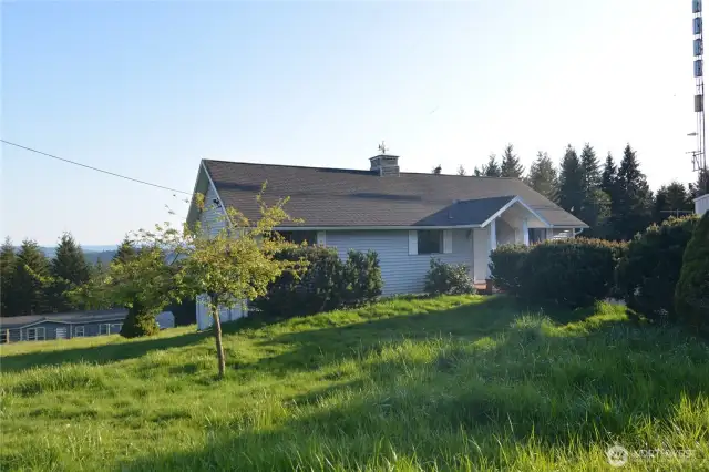 Front Yard