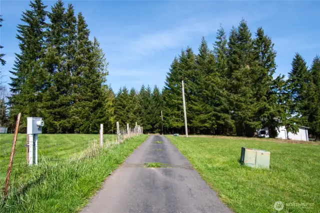 Driveway