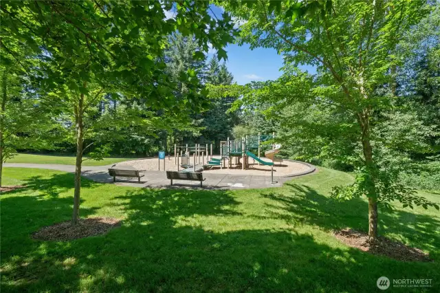 Outdoor park