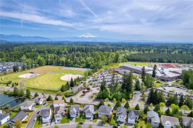 Mt Rainier seems to be in reach