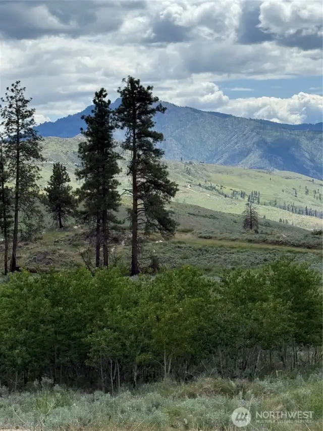 Trees boarder the property.