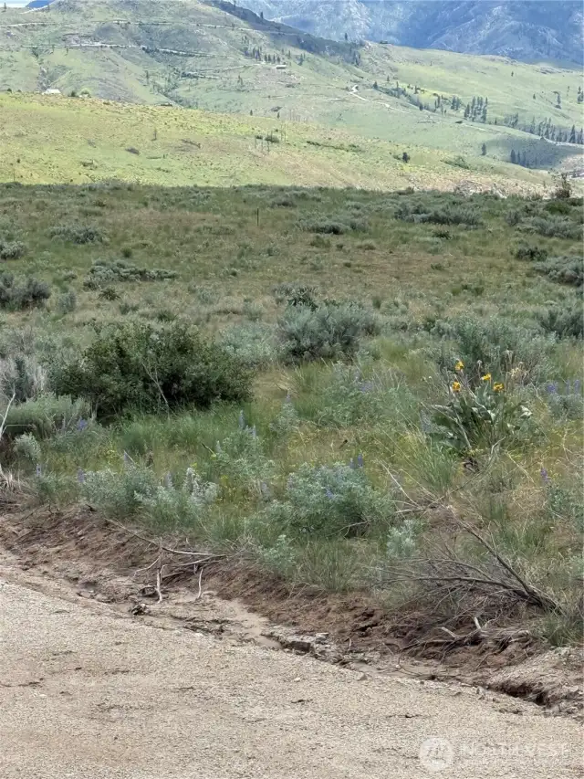 With this 8 acres, you have many choices of where you could build your next, best get-away!